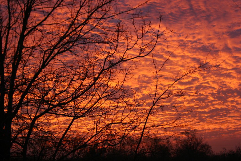 Red Evening Sky